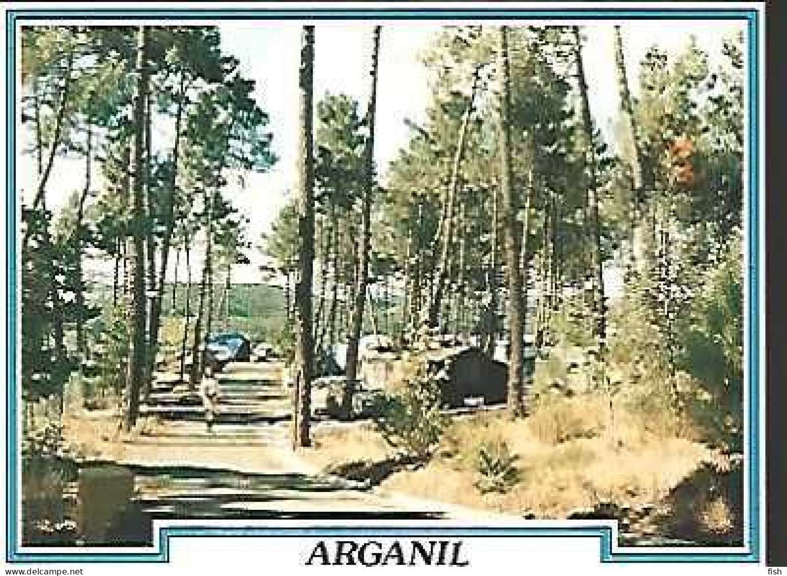Portugal ** &  Postal, Arganil, Parque De Campismo Municipal, Ed. C.M. Arganil (76668) - Coimbra