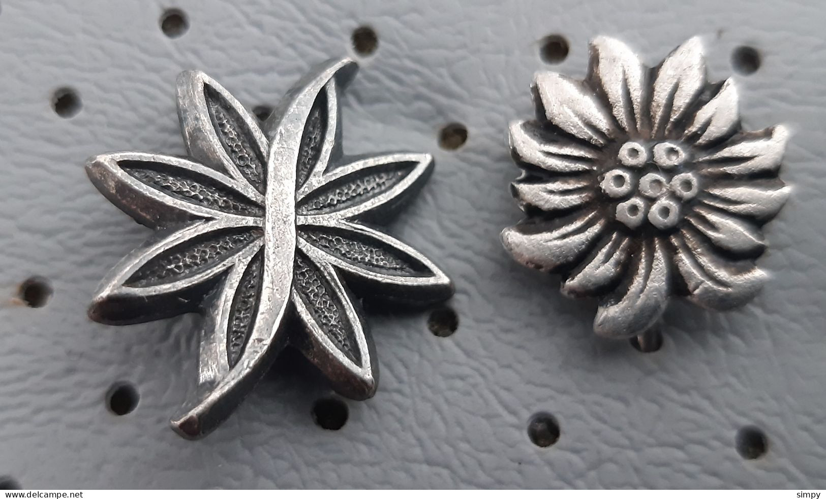 Edelweiss Mountain Flower Mountaineering, Alpinism Flowers Vintage Pins - Alpinismo, Arrampicata