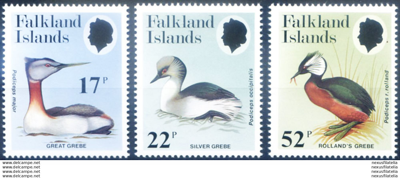 Fauna. Uccelli 1984. - Falklandeilanden