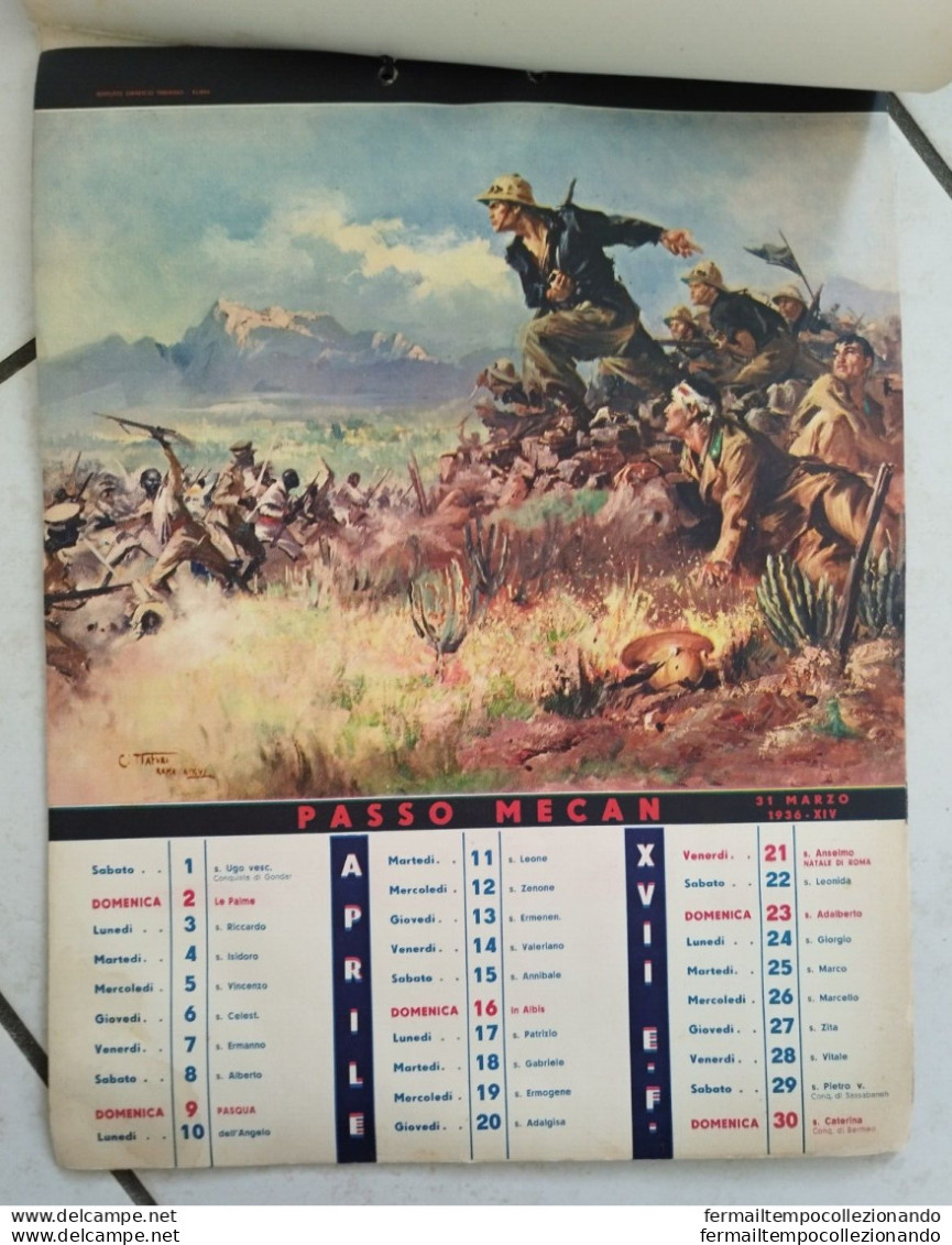 bs raro calendario fascista mvsn XVII milizia  illustratore starace e tafuri