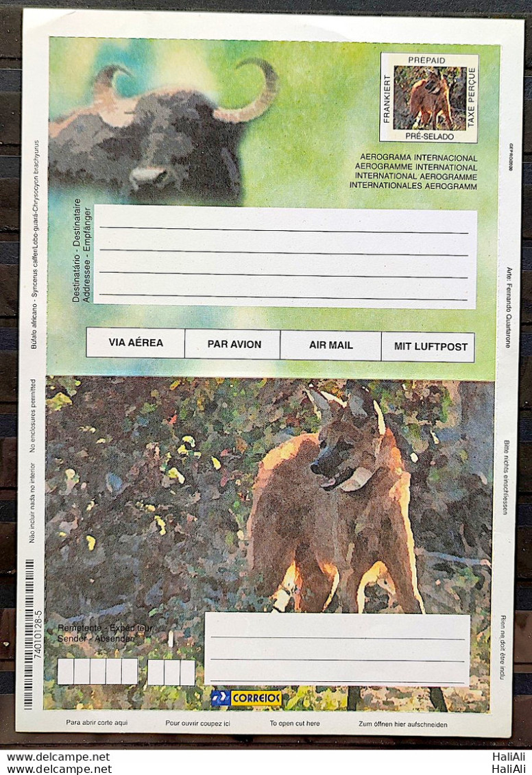 Brazil Aerogram Cod 0011b International Wolf Guará Fauna Gepro 2000 - Postal Stationery