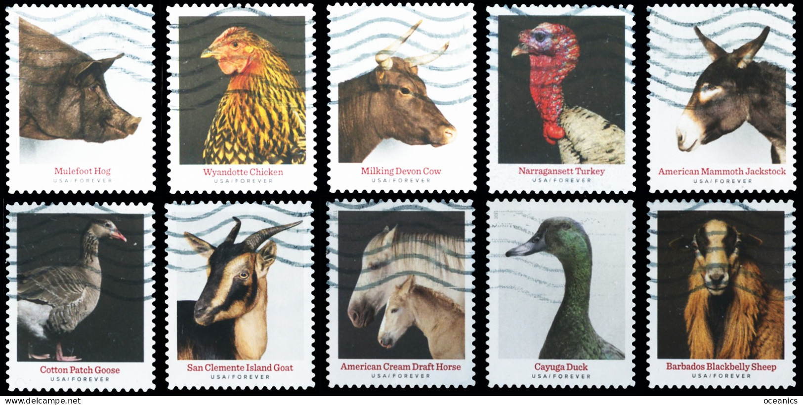 Etats-Unis / United States (Scott No.5583-92 - Heritage Breeds) (o) Set Of 10 - Used Stamps