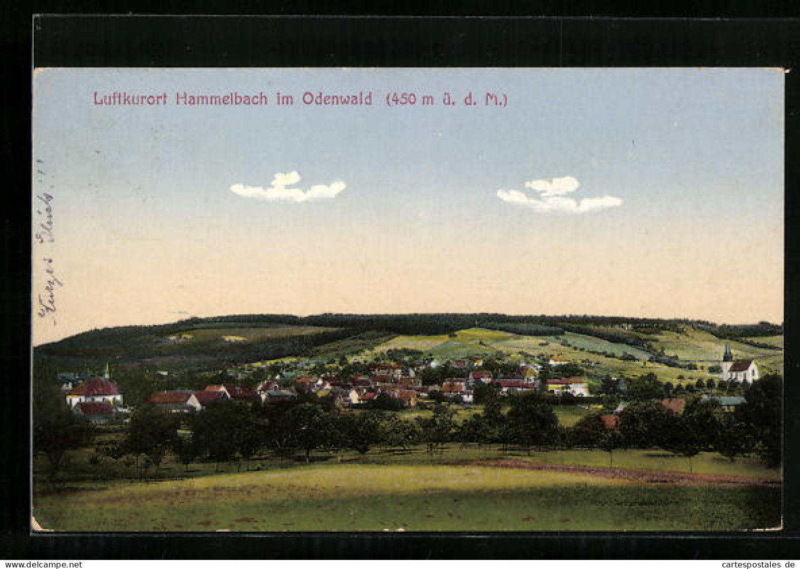 AK Hammelbach I. Odenwald, Panorama  - Odenwald