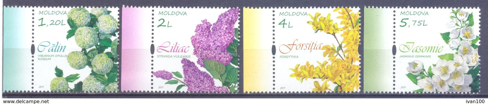 2019. Moldova, Flowering Shrubs Of Moldova, 4v, Mint/** - Moldova