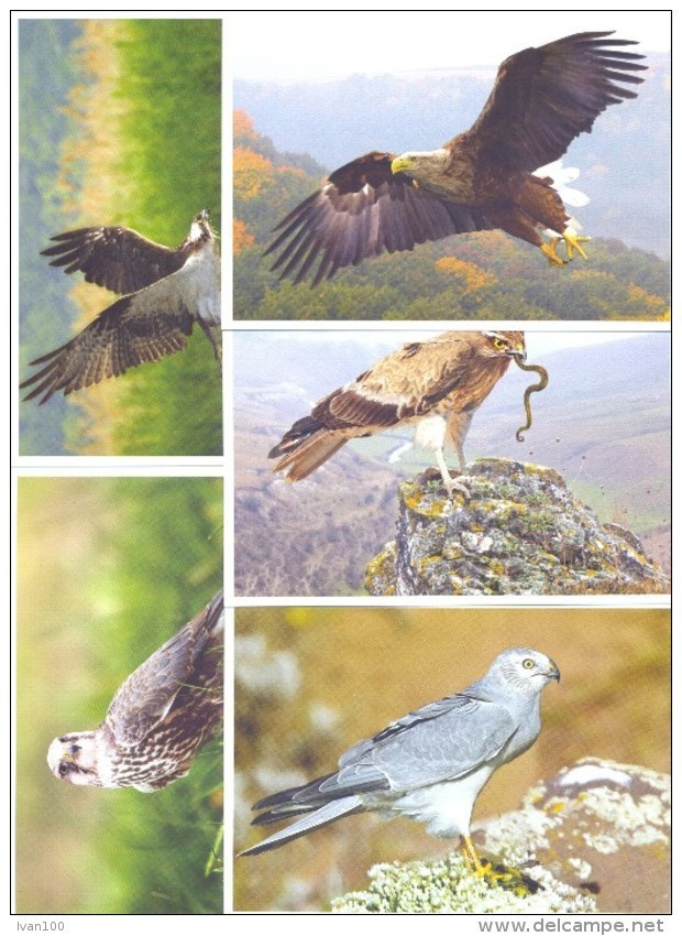 2016. Predatory Birds Of Moldova, Prepayed Post Cards, Set Of 9v, Mint/** - Águilas & Aves De Presa