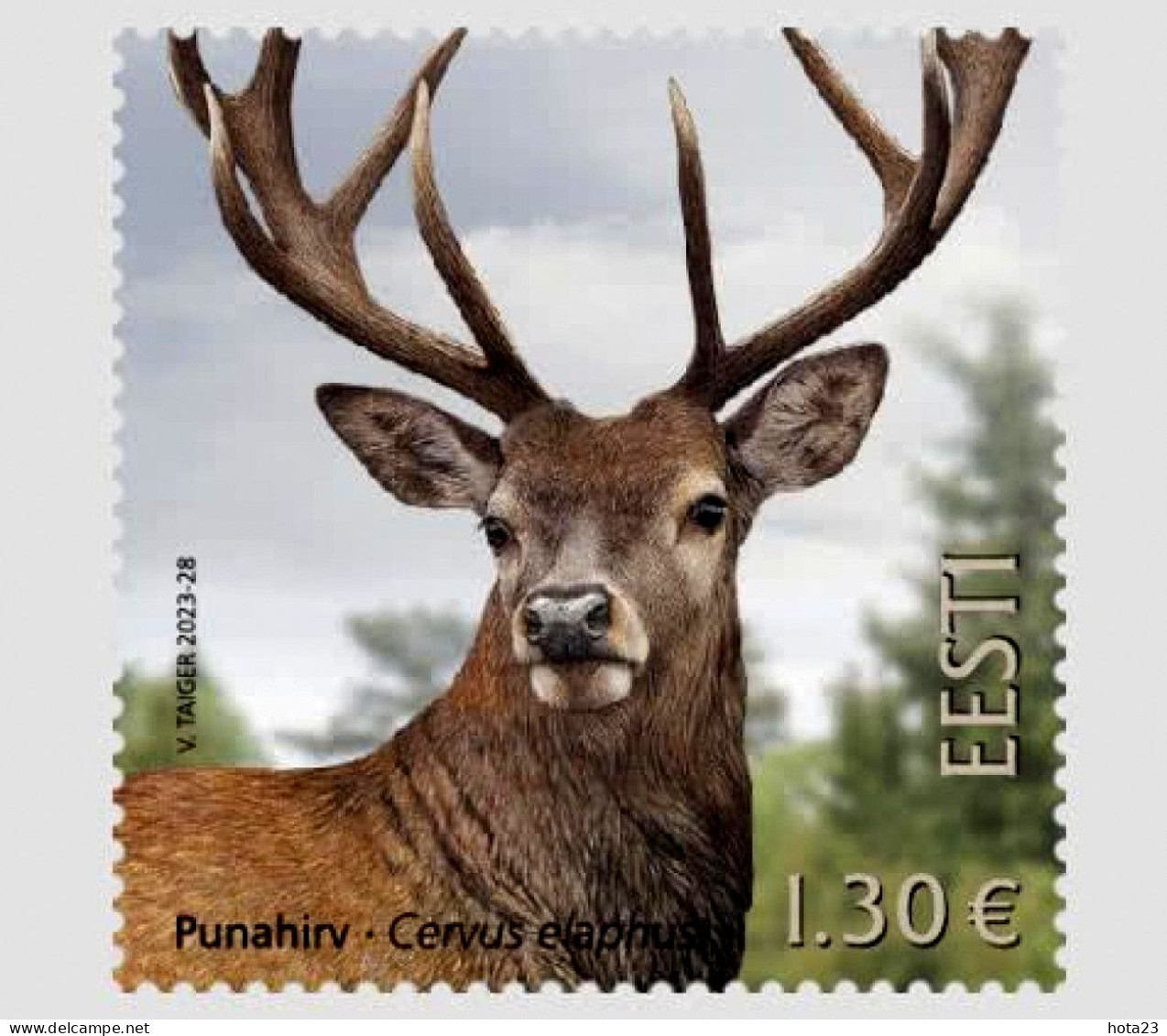 Estonia; Estland 2023 Estonian Fauna Wild Animal - Red Deer Stamp  MNH - Estonia