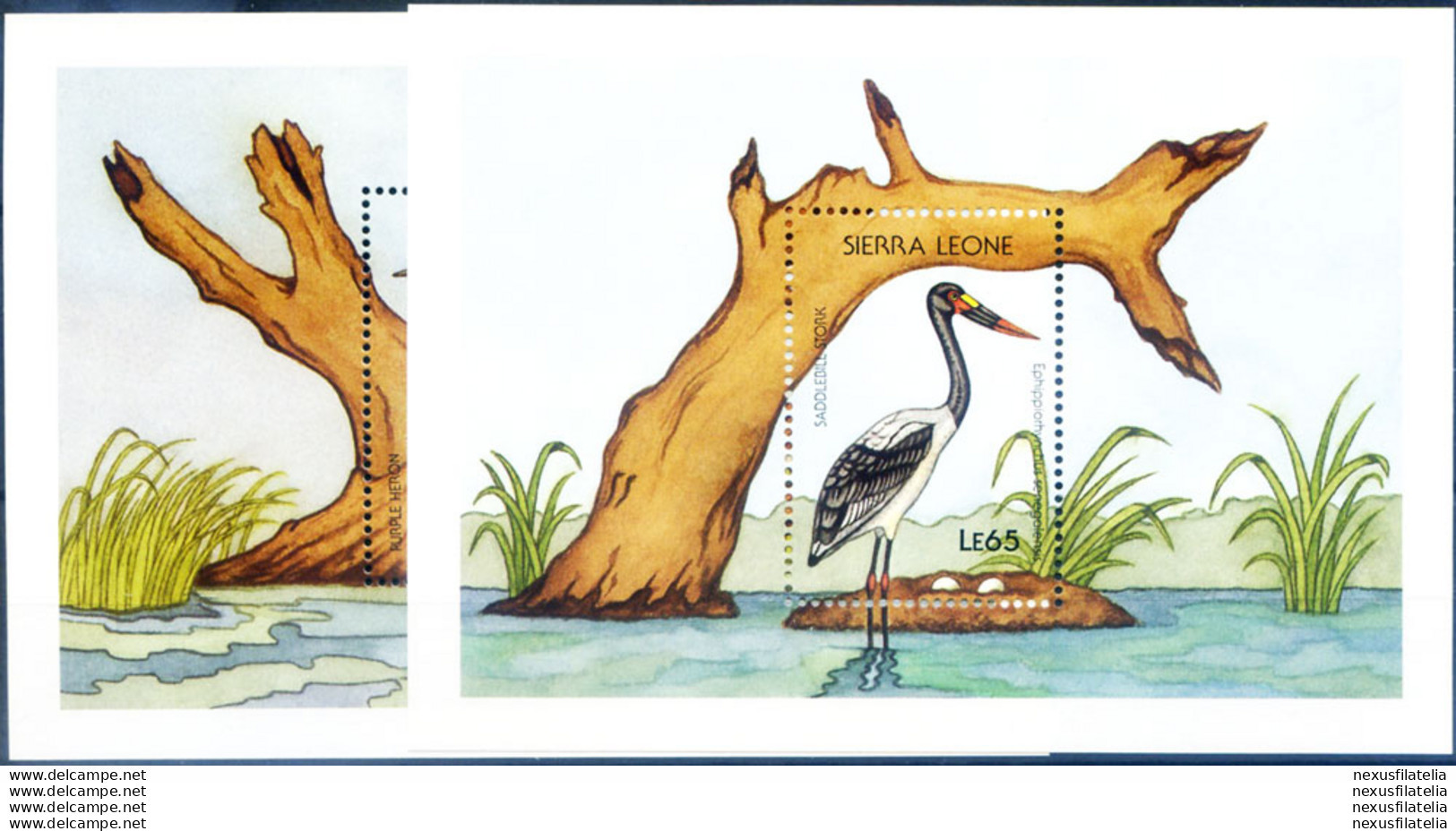 Fauna. Uccelli 1988. - Sierra Leona (1961-...)