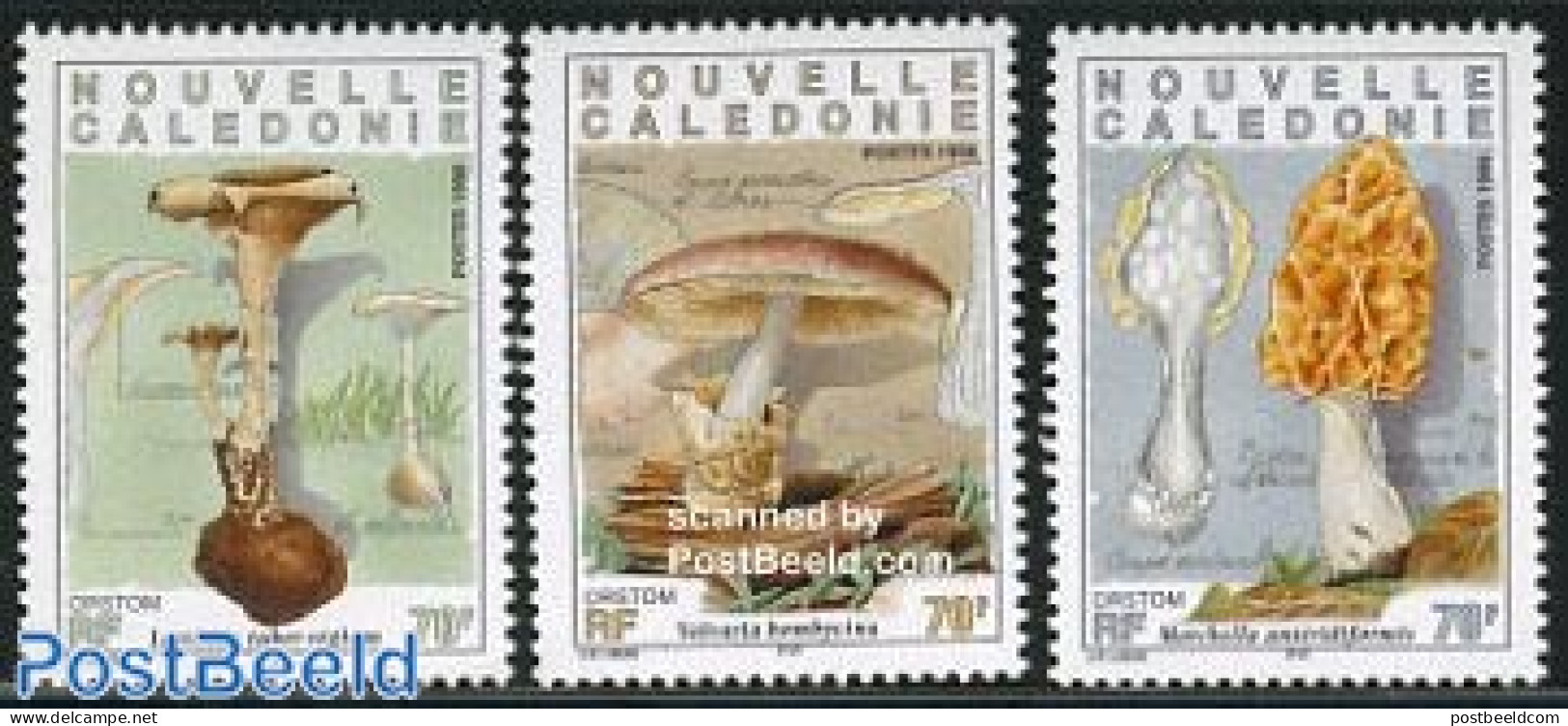 New Caledonia 1998 Mushrooms 3v, Mint NH, Nature - Mushrooms - Ungebraucht