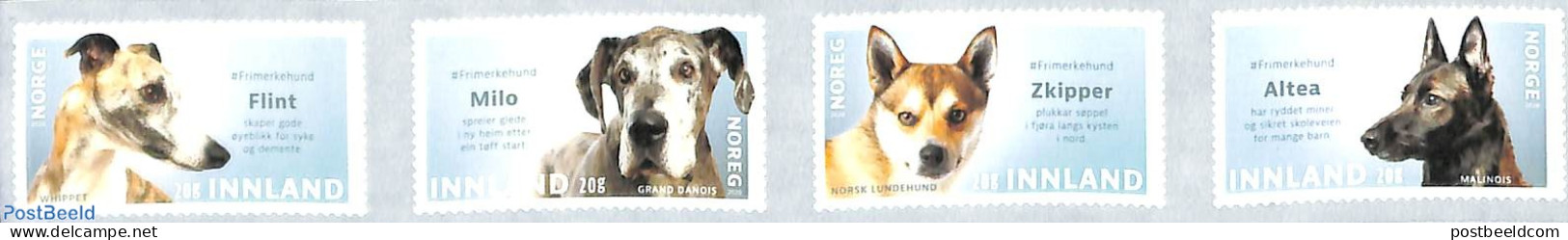 Norway 2020 Dogs 4v S-a, Mint NH, Nature - Dogs - Unused Stamps