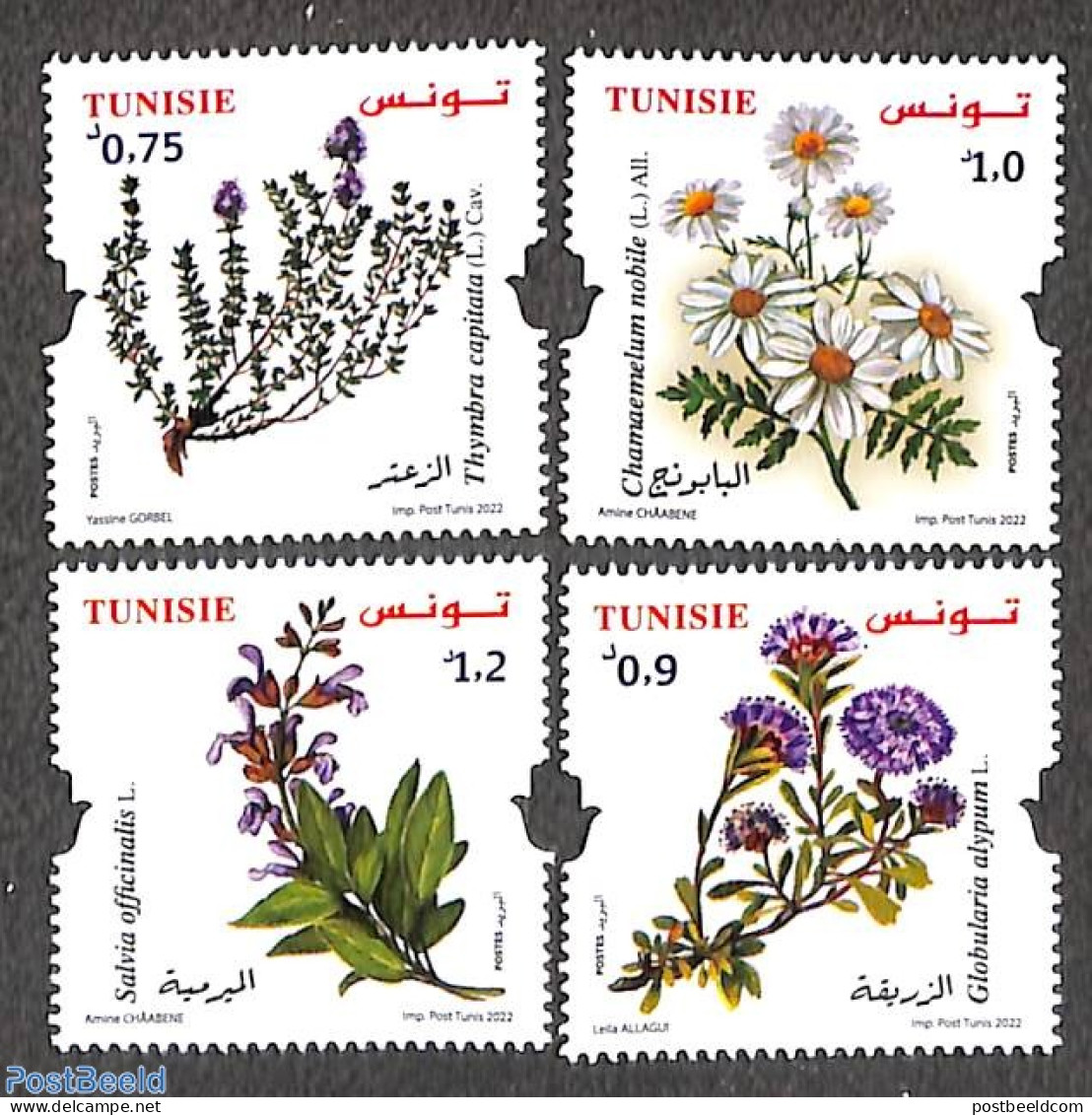 Tunisia 2022 Flora 4v, Mint NH, Nature - Flowers & Plants - Tunesien (1956-...)