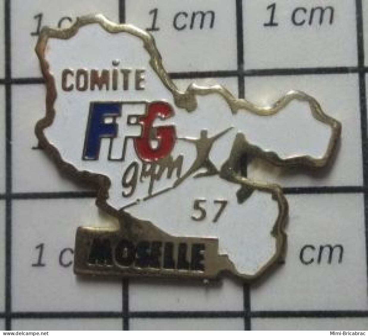 2422 Pin's Pins / Beau Et Rare : SPORTS / GYMNASTIQUE COMITE FFG MOSELLE - Gimnasia