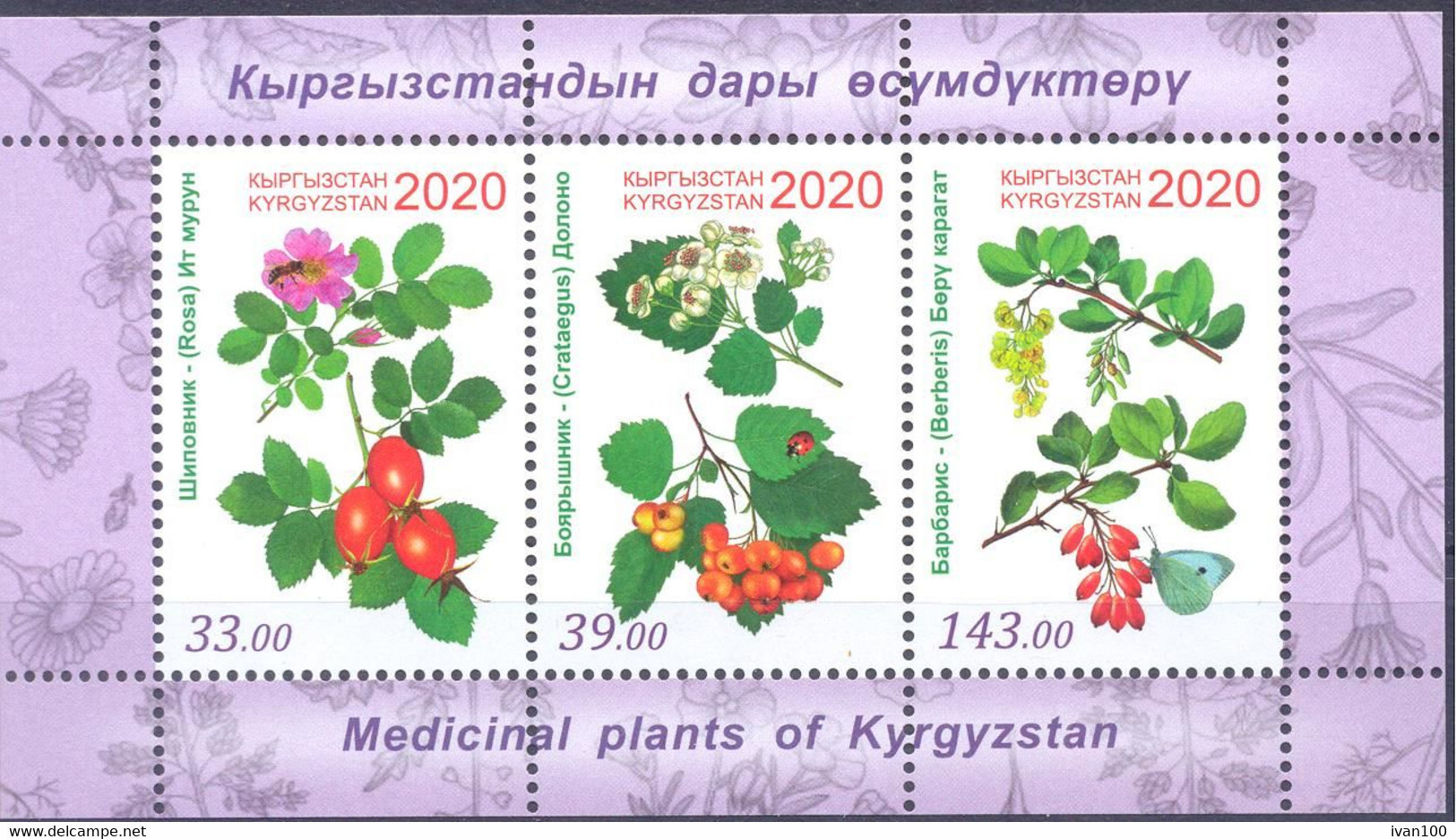 2020. Kyrgyzstan, Medical Plants Of Kyrgyzstan, S/s Perforated, Mint/** - Kirgisistan