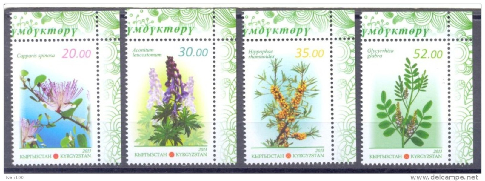 2013. Kyrgyzstan, Medical Plants, 4v Perforated, Mint/** - Kyrgyzstan