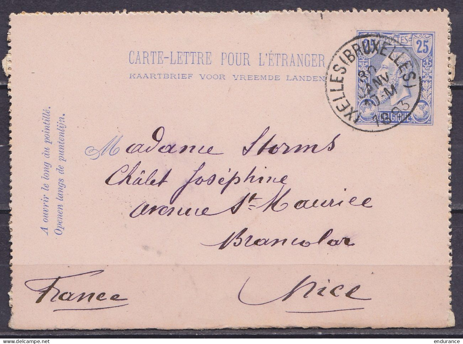 EP Carte-lettre Pour L'étranger 25c Bleu (N°48) Càd IXELLES (BRUXELLES) /30 JANV 1893 Pour Brancolar NICE - Carte-Lettere