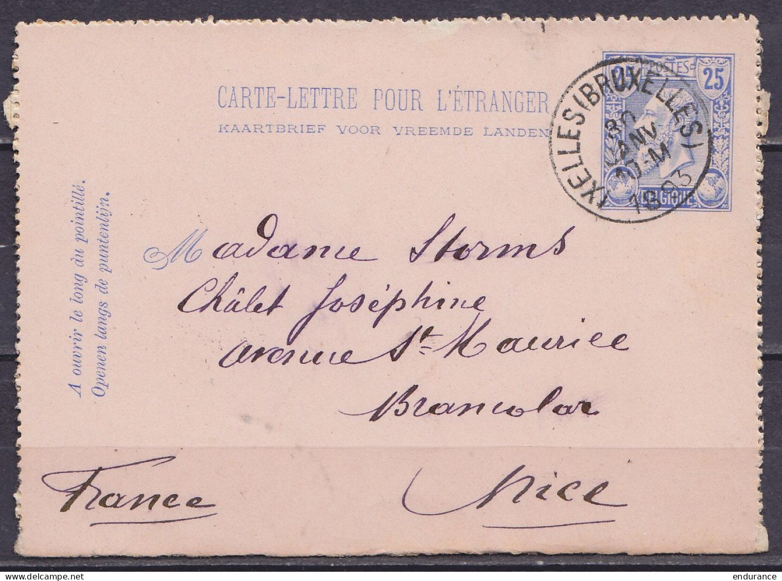 EP Carte-lettre Pour L'étranger 25c Bleu (N°48) Càd IXELLES (BRUXELLES) /30 JANV 1893 Pour Brancolar NICE - Kartenbriefe