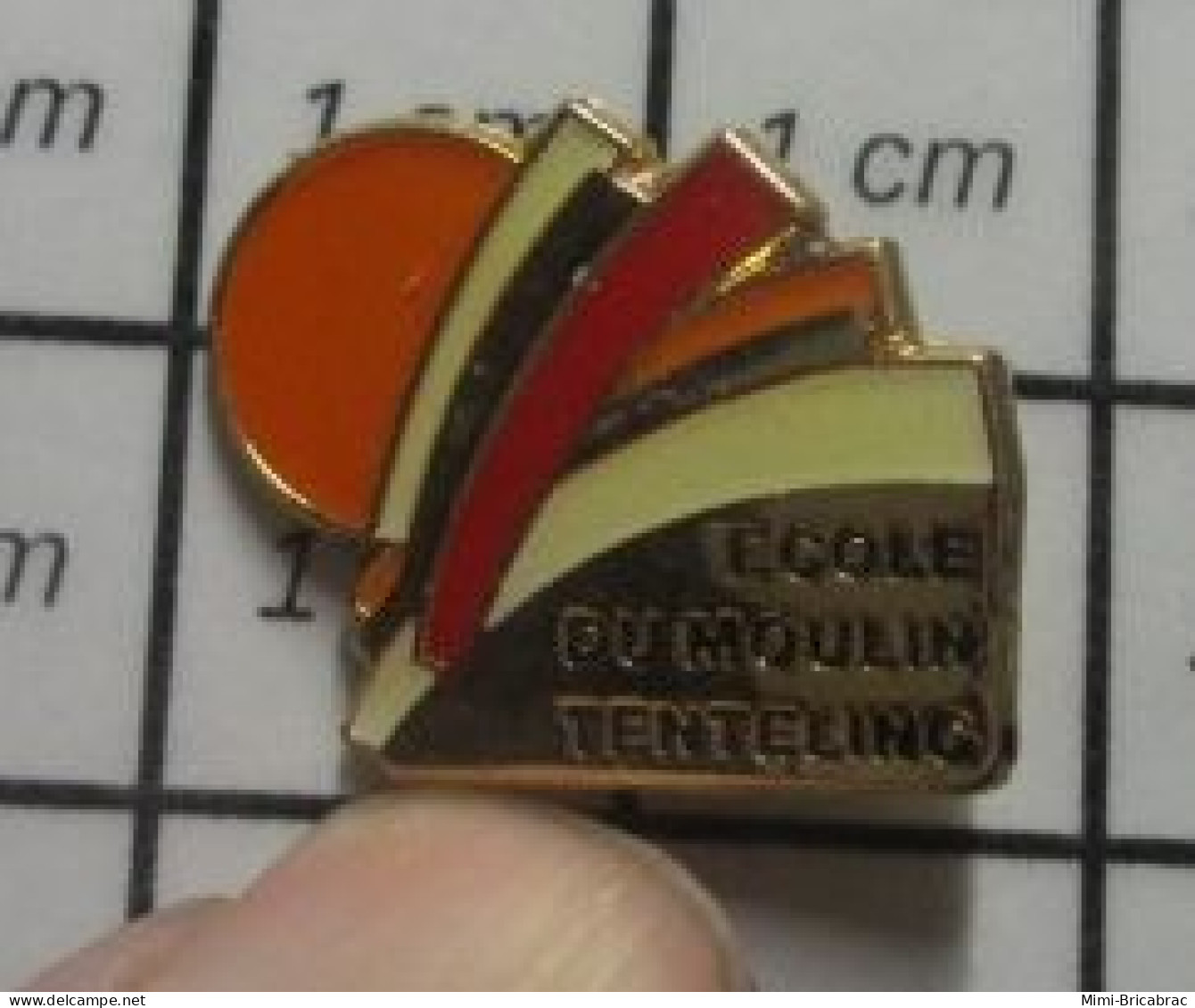 3319 Pin's Pins / Beau Et Rare : ADMINISTrATIONS / ECOLE DU MOULIN TENTELING - Administraties