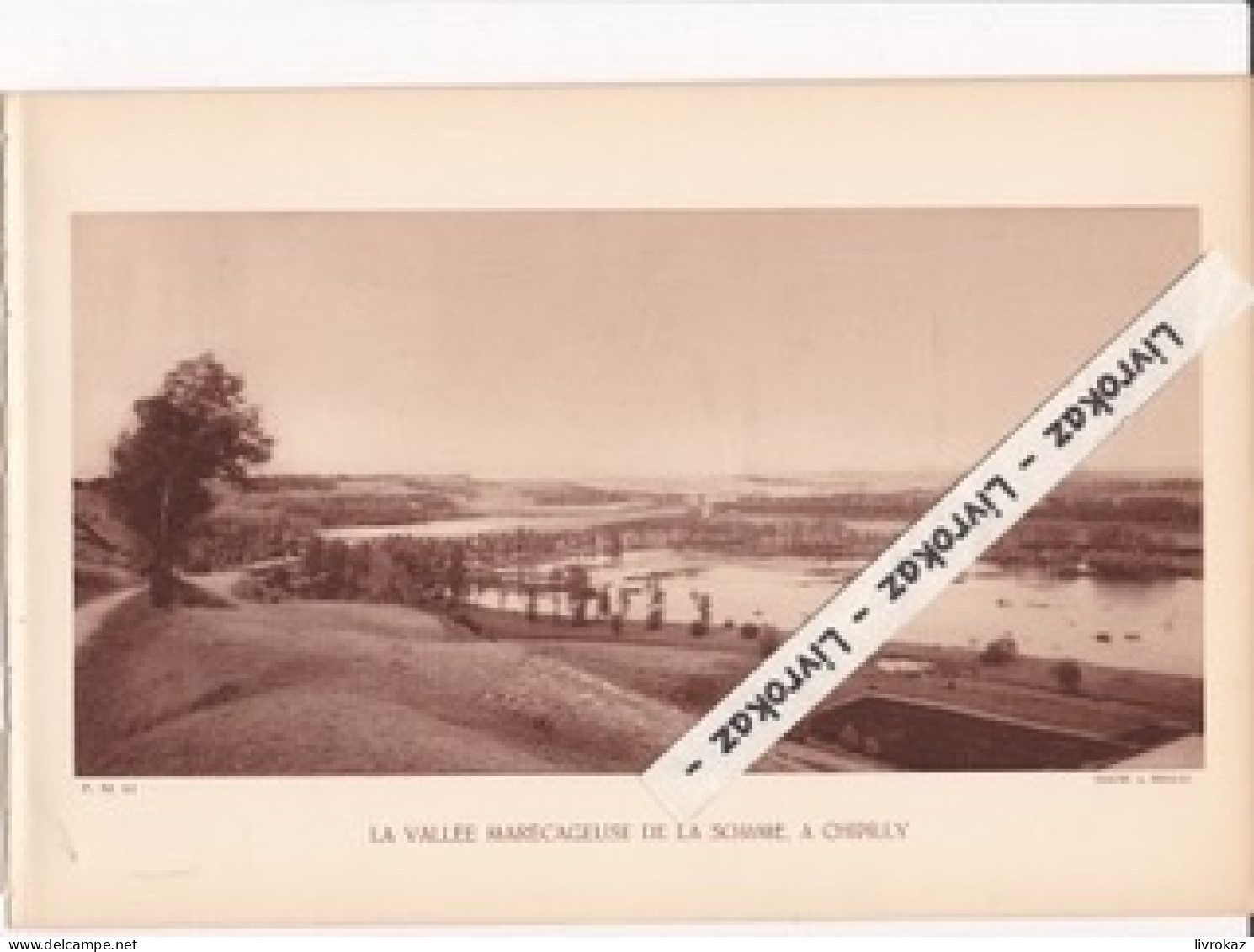 Vallée Marécageuse De La Somme à Chipilly, Photo Sépia Extraite D'un Livre Paru En 1933 - Non Classés