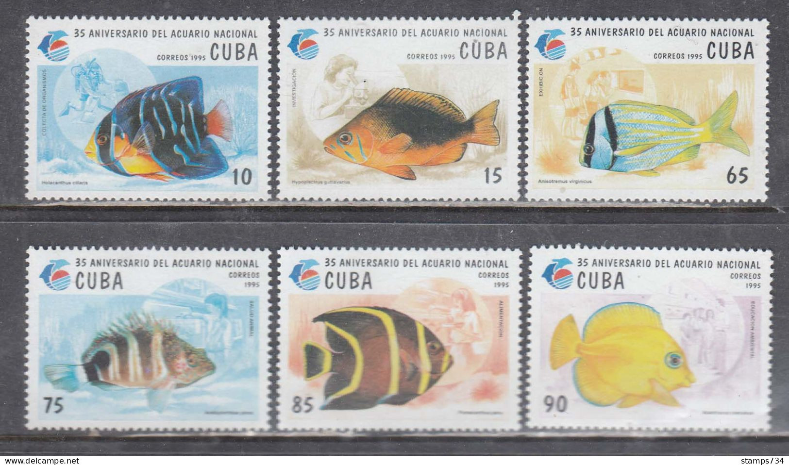 Cuba 1995 - Fishes, Mi-Nr. 3811/16, MNH** - Unused Stamps