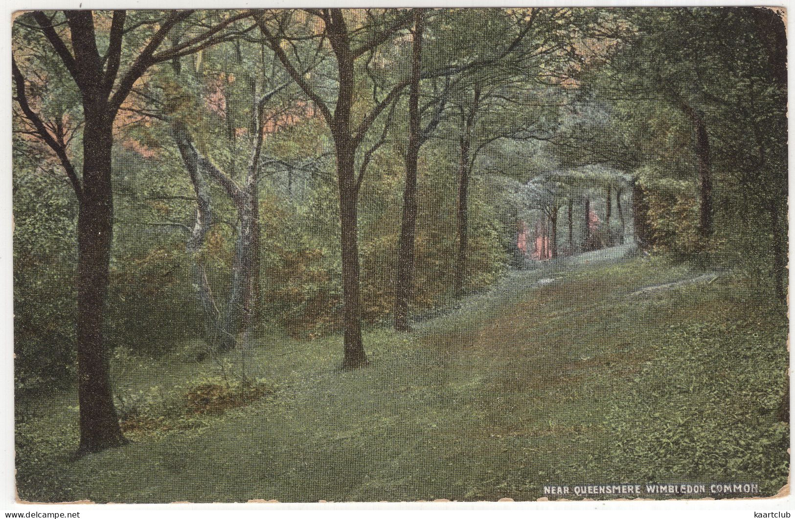 Near Queensmere, Wimbledon Common. - (England) - 1907 - Surrey