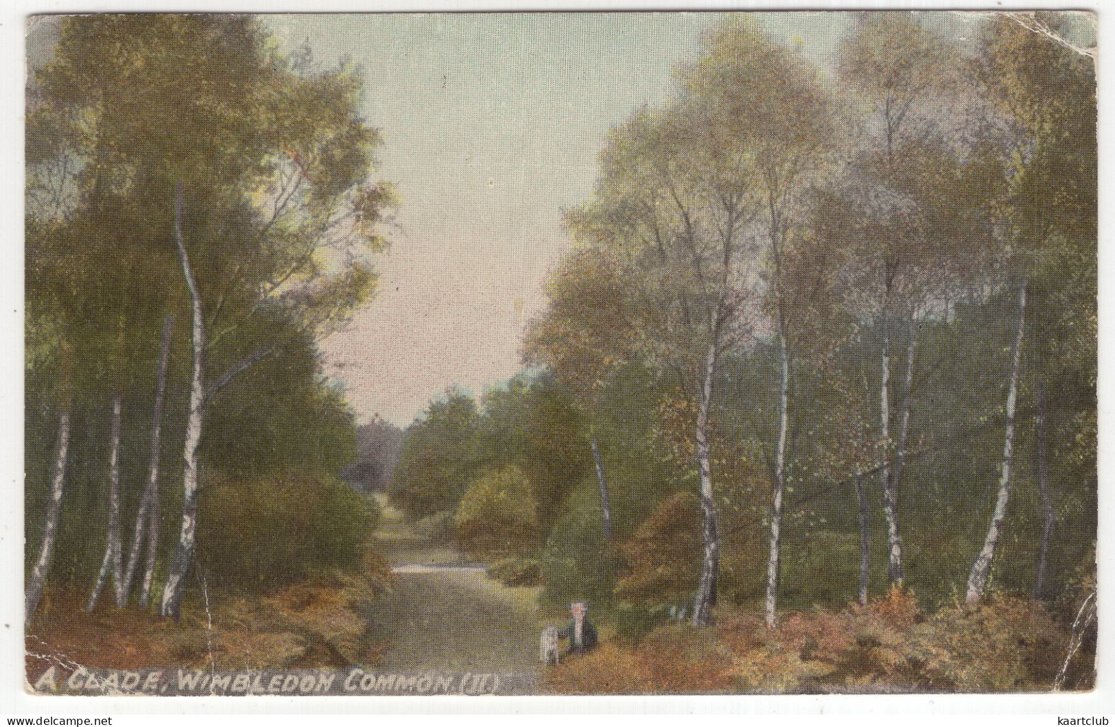 A Clade, Wimbledon Common. (II.) - (England) - 1906 - Surrey