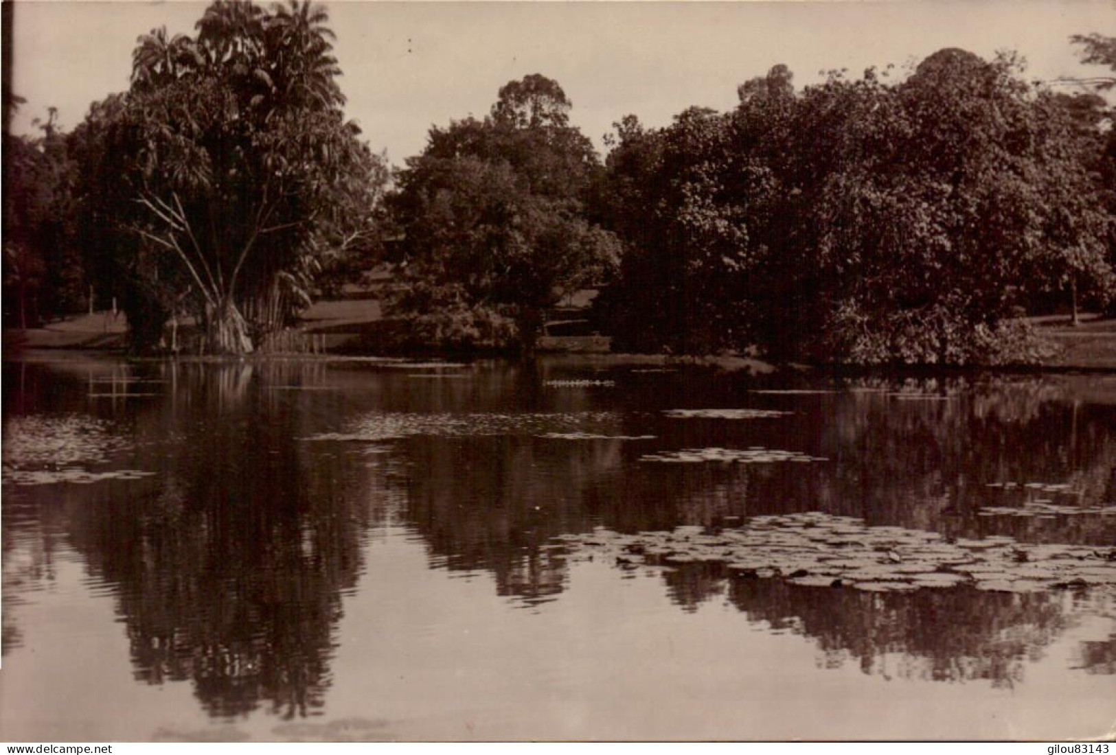 Singapore, River, Garden - Singapur