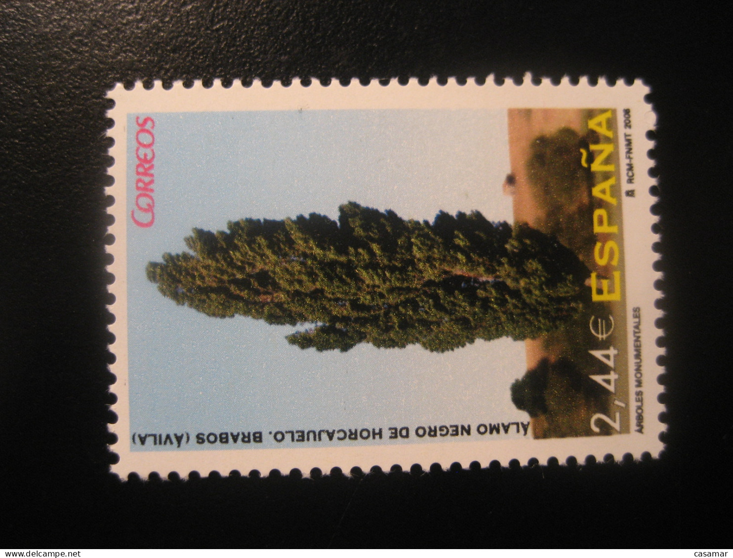 Edifil 4390 ** Unhinged Facial 2,44 Eur Stamp 2008 ALAMO NEGRO De Horcajuelo Brabos Avila Tree Arbre SPAIN - Bomen