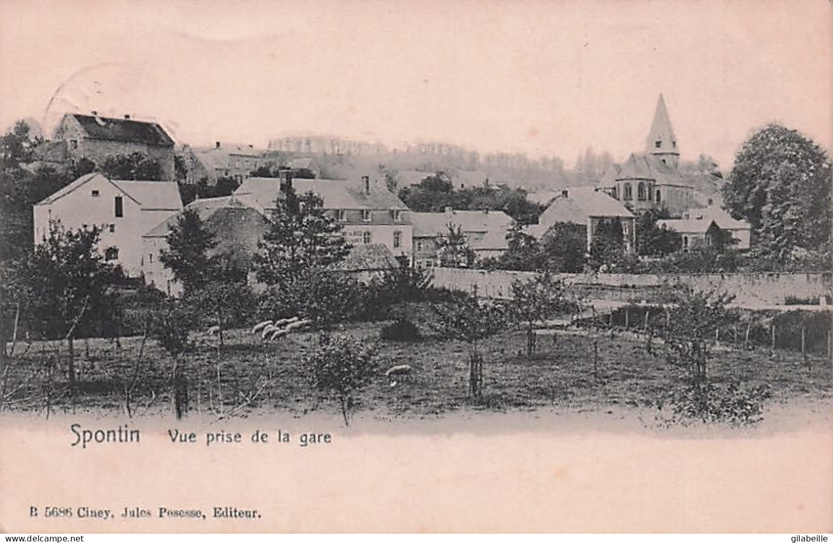 Yvoir - SPONTIN - Vue Prise De La Gare - 1908 - Yvoir