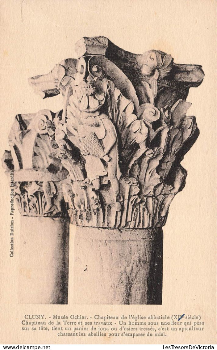FRANCE - Cluny - Musée Ochier - Chapiteau De L'église Abbatiale (XIV E Siècle) - Carte Postale Ancienne - Cluny