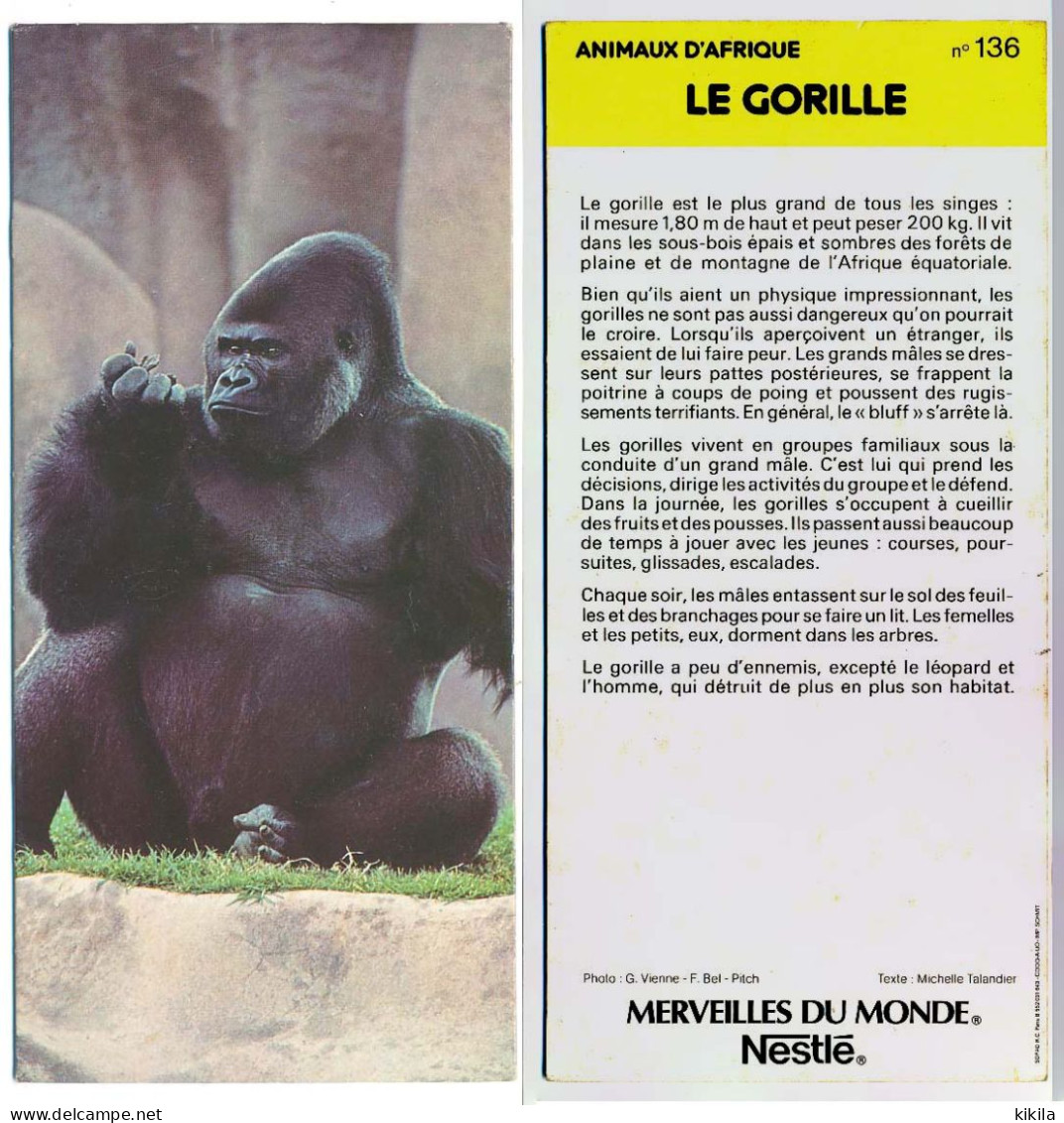 Image, Fiche Illustrée, Photo MERVEILLES DU MONDE De Nestlé N° 136 Animaux D'Afrique LE GORILLE - Dieren