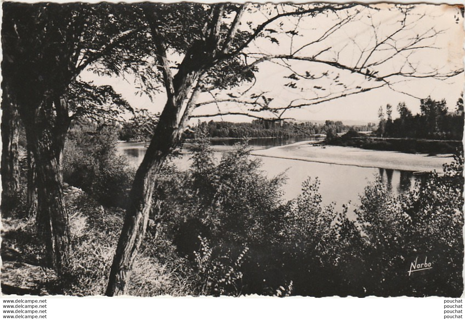 V4-82) ENVIRONS D 'AUVILLAR (TARN ET GARONNE) LES BORDS DE LA GARONNE  - ( 2 SCANS ) - Auvillar