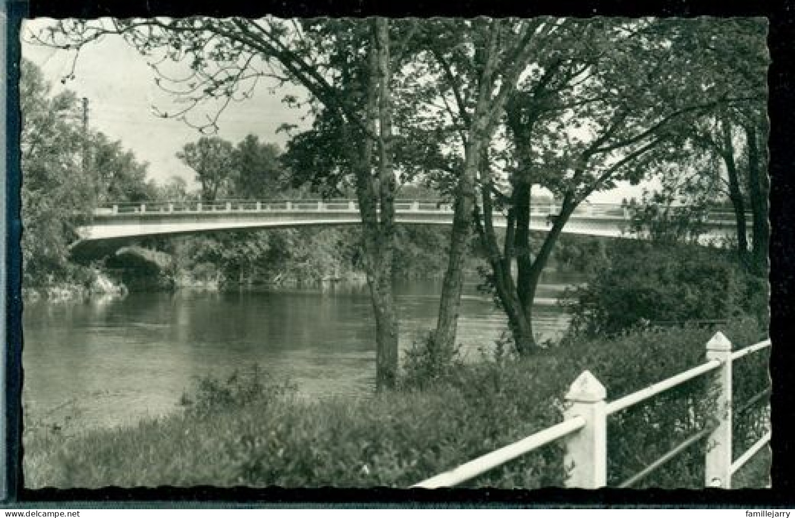 2141 - ESBLY SUR MARNE - CPSM - LES BORDS DE LA MARNE - Esbly