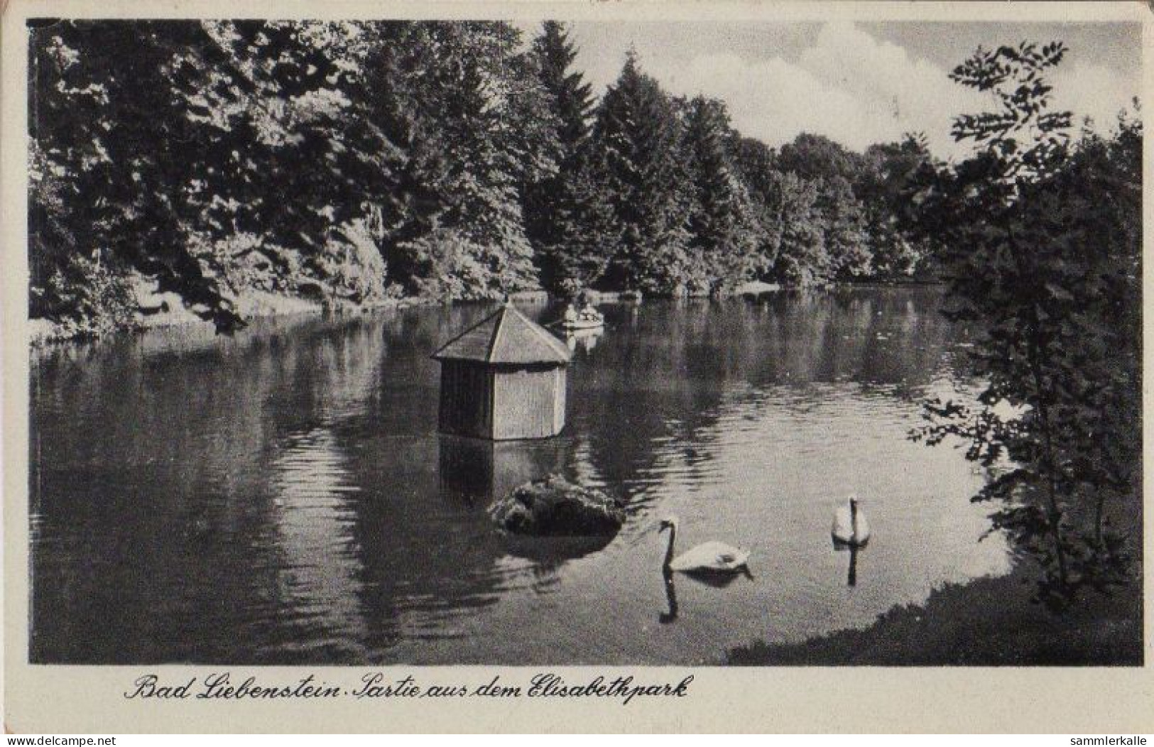 34078 - Bad Liebenstein - Partie Aus Dem Elisabethpark - Ca. 1950 - Bad Liebenstein