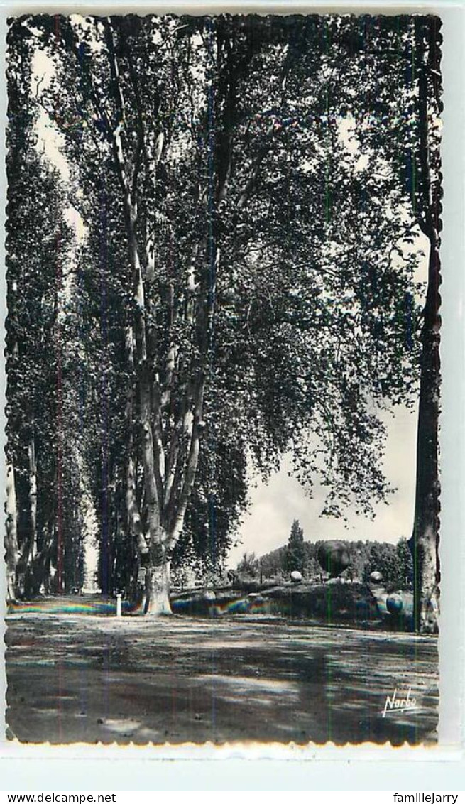 17615 - VERDUN SUR GARONNE - CPSM - ALLEE DES PLATANES ET MONUMENT BOULISTE - Verdun Sur Garonne