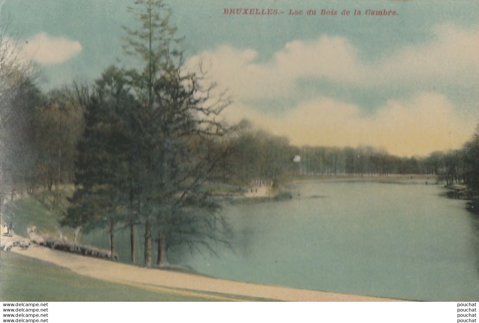 W14- BRUXELLES -  LAC DU BOIS  DE LA CAMBRE - ( N° 457  - 2 SCANS ) - Bossen, Parken, Tuinen