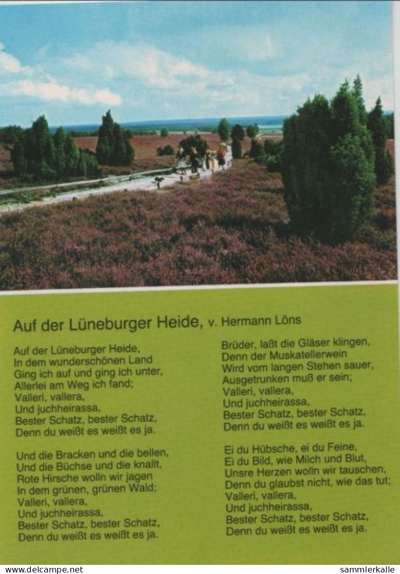 65183 - Lüneburger Heide - Mit Text Von Hermann Löns - Ca. 1980 - Lüneburger Heide