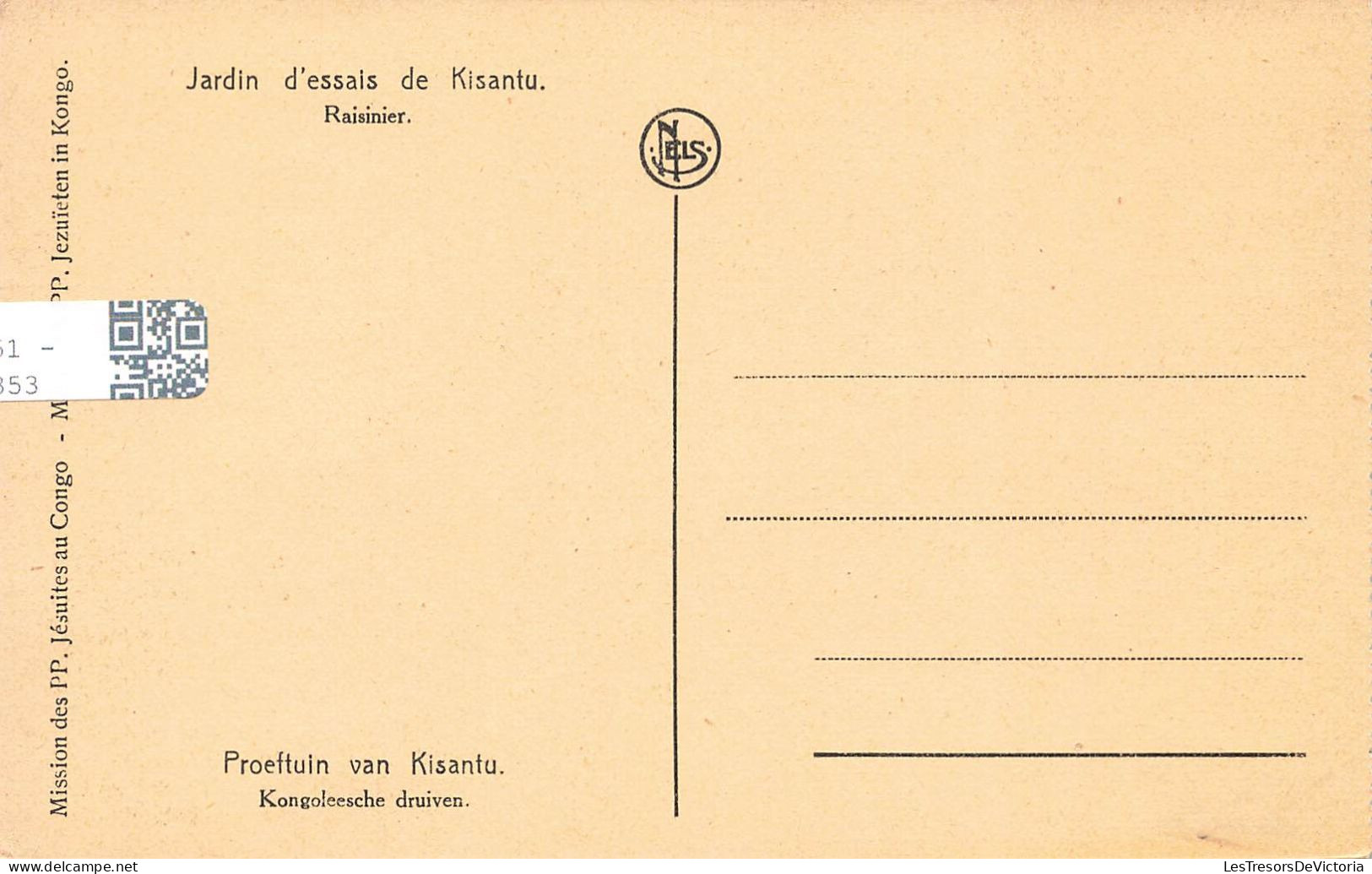 CONGO - Jardin D'essais De Kisantu - Raisinier - Carte Postale Ancienne - Congo Belga