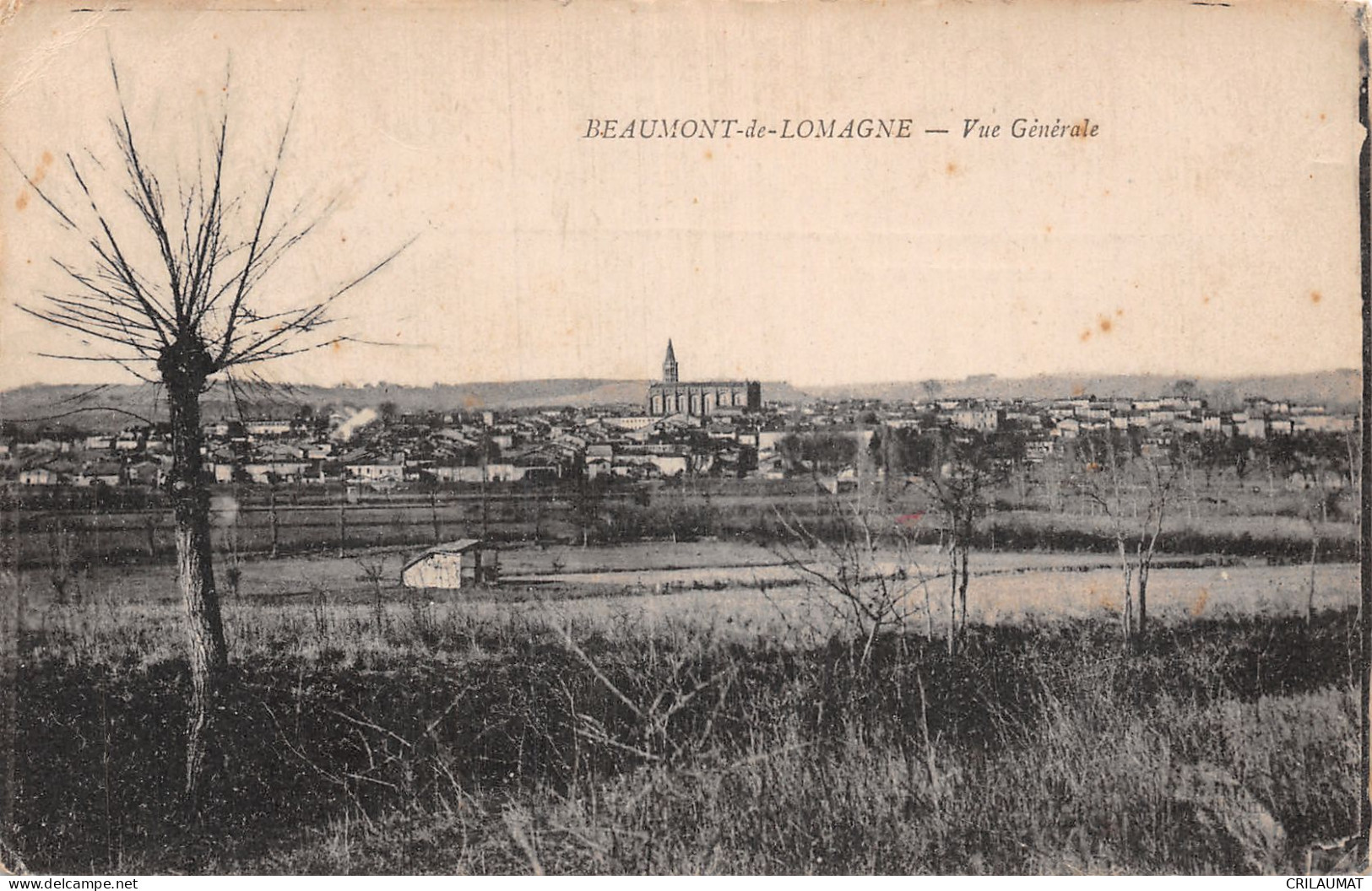 82-BEAUMONT DE LOMAGNE-N°T2978-A/0389 - Beaumont De Lomagne