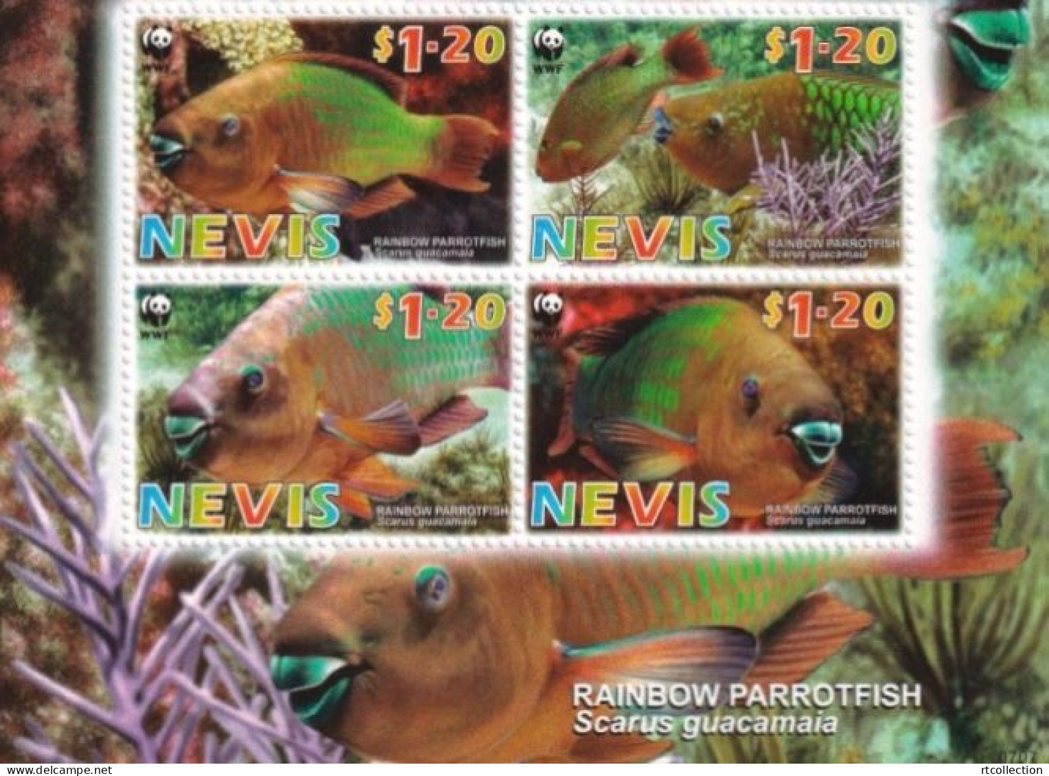Nevis 2007 Global Nature Conservation Rainbow Parrot Fish Fishes Marine Life Fauna Animals Animal WWF W.W.F. Stamps MNH - Nuevos