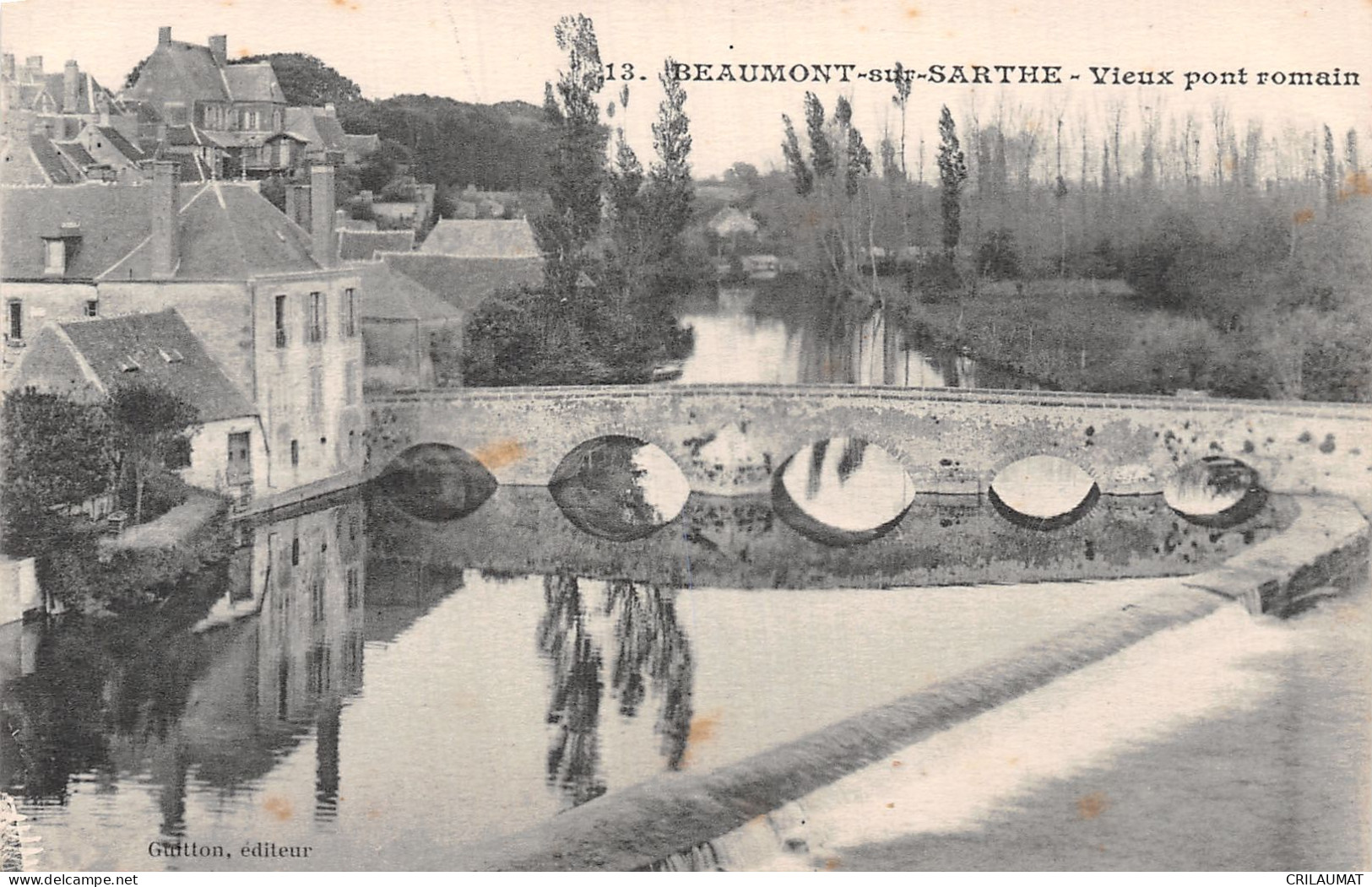 72-BEAUMONT SUR SARTHE-N°T2980-C/0105 - Beaumont Sur Sarthe