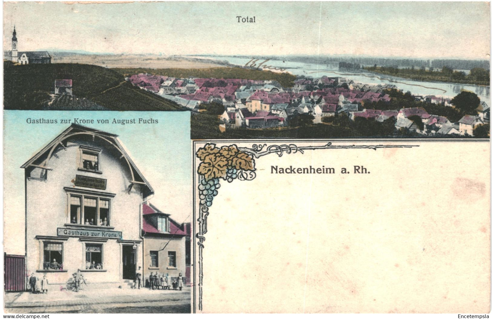 CPA Carte Postale Germany Nackenheim A. Rhein Panorama  -  Gasthaus Zur Krone  VM79382 - Bingen