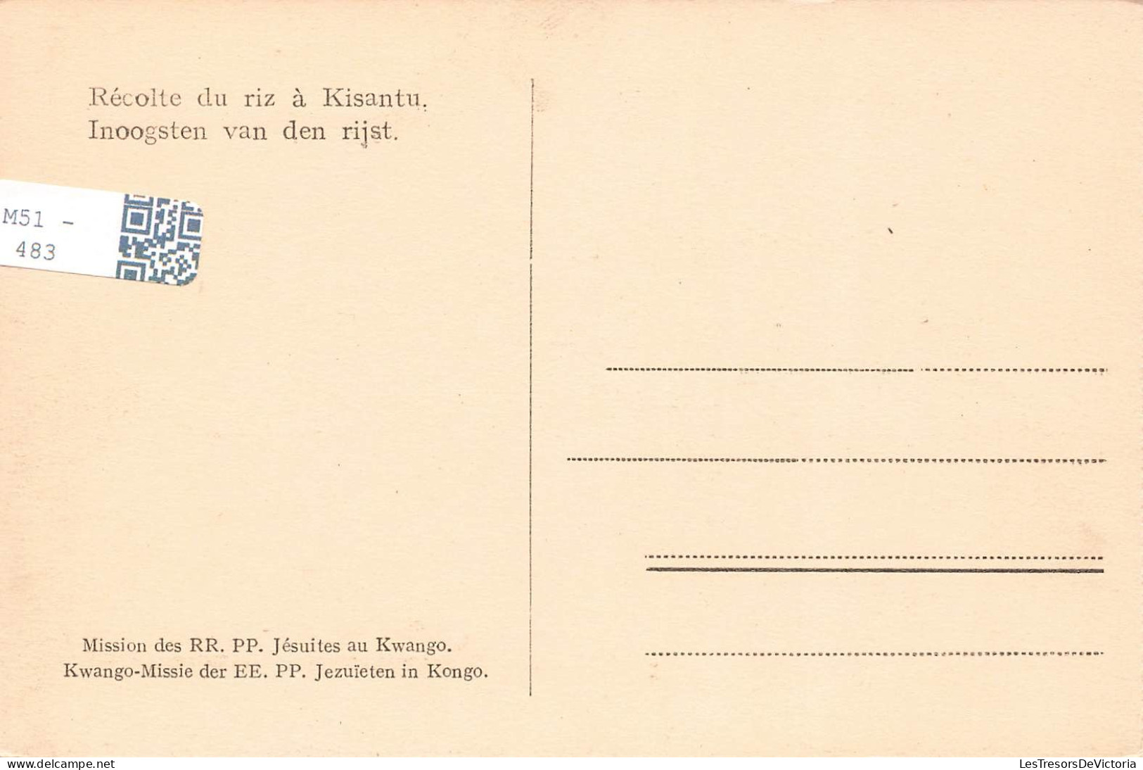 CONGO BELGE - Récolte Du Riz à Kisantu - Animé - Carte Postale Ancienne - Belgian Congo