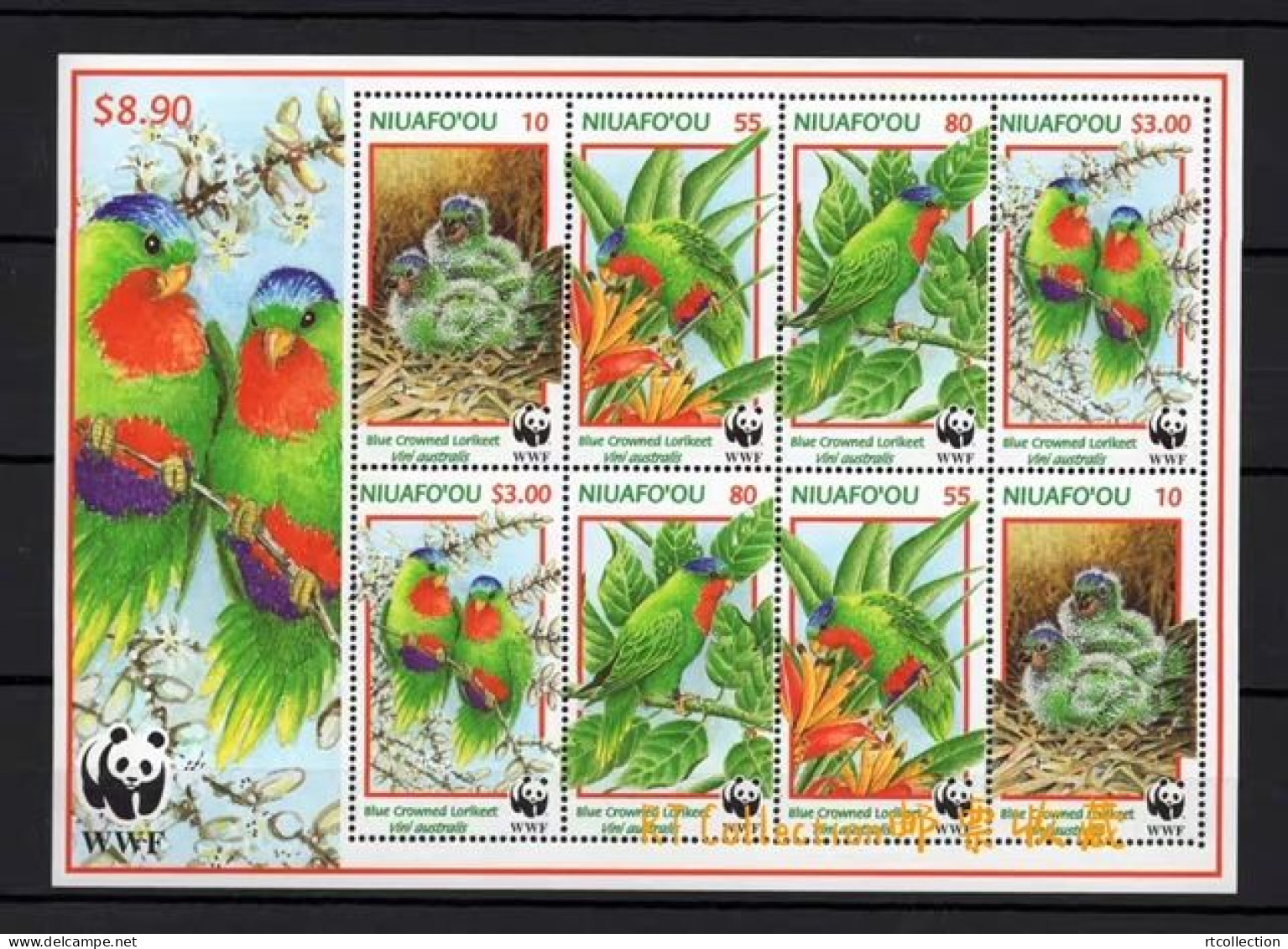 Niuafoou 1998 Worldwide Nature Conservation Blue Crowned Lory Birds WWF Animals Bird Animal W.W.F. Parrots Stamps MNH - Pappagalli & Tropicali