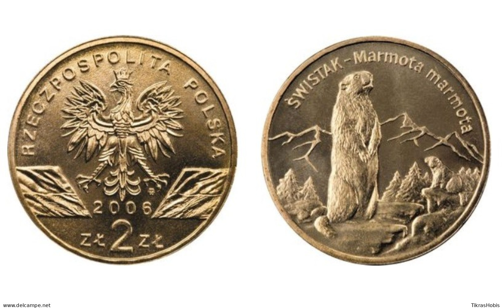 Poland 2 Zlotys, 2006 Whistleblower Y534 - Pologne