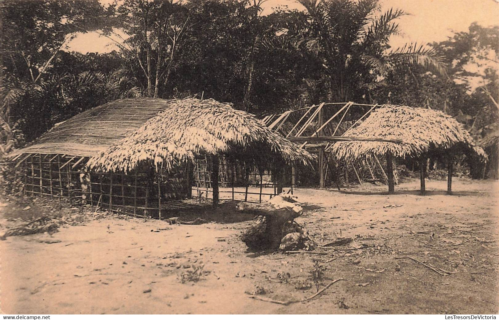 CONGO - Huttes Batitu En Construction - Document Musée Congo - Photo Expédition Maes - Carte Postale Ancienne - Sonstige & Ohne Zuordnung