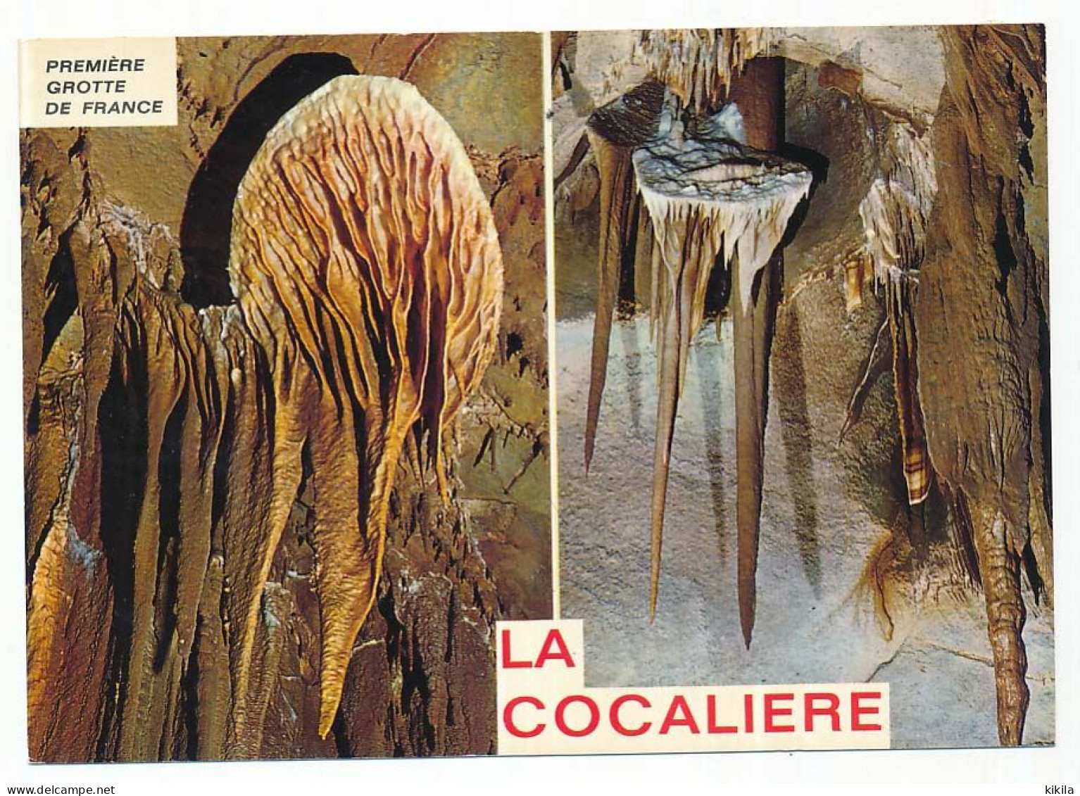 CPSM / CPM 10.5 X 15 Gard COURRY "La Cocalière" 1ère Grotte De France  Concrétions En "disque" - Saint-Ambroix