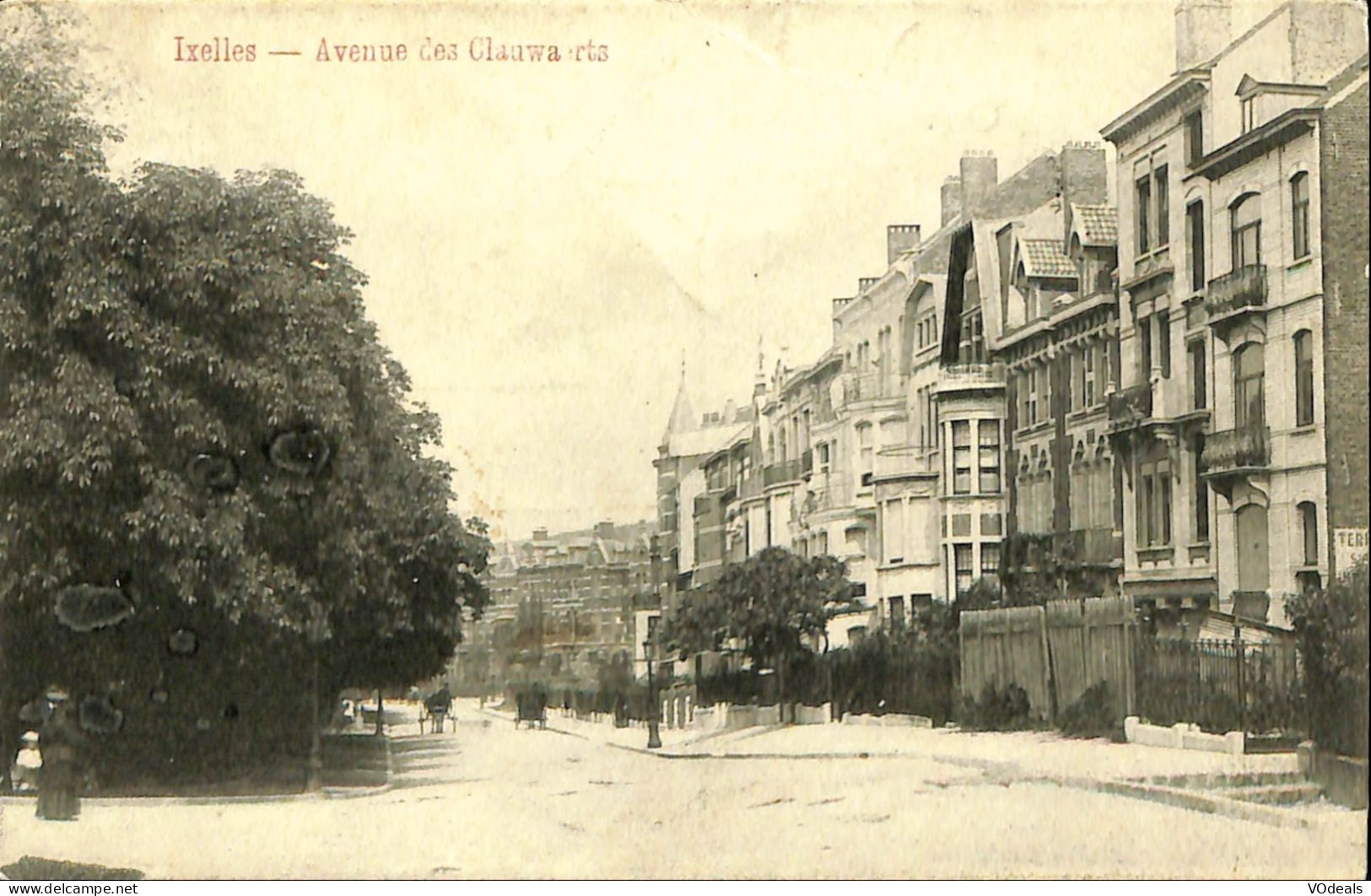 Belgique - Brussel - Bruxelles - Ixelles - Elsene - Avenue Des Clauwaerts ( Klauwaerts ) - Ixelles - Elsene