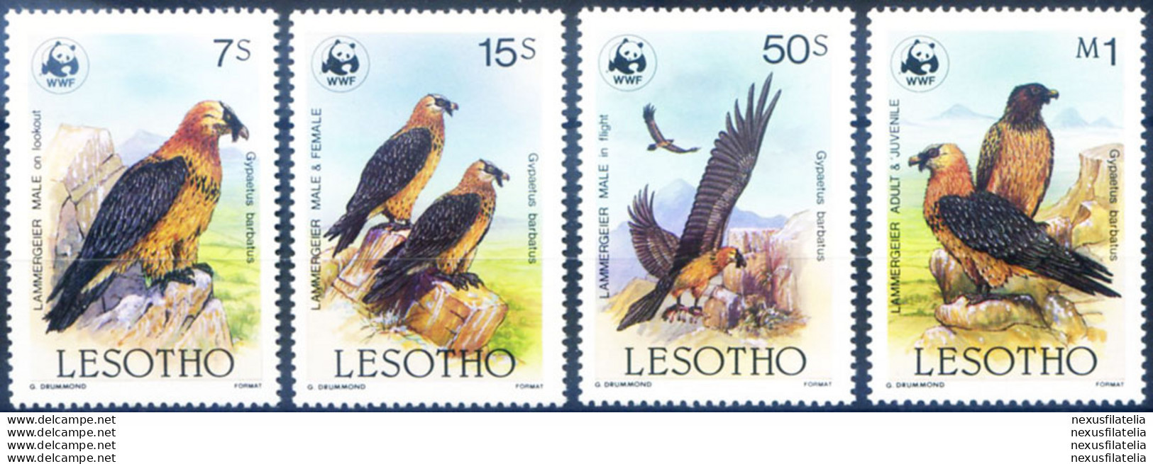 Fauna. Uccelli Rapaci 1986. - Lesotho (1966-...)