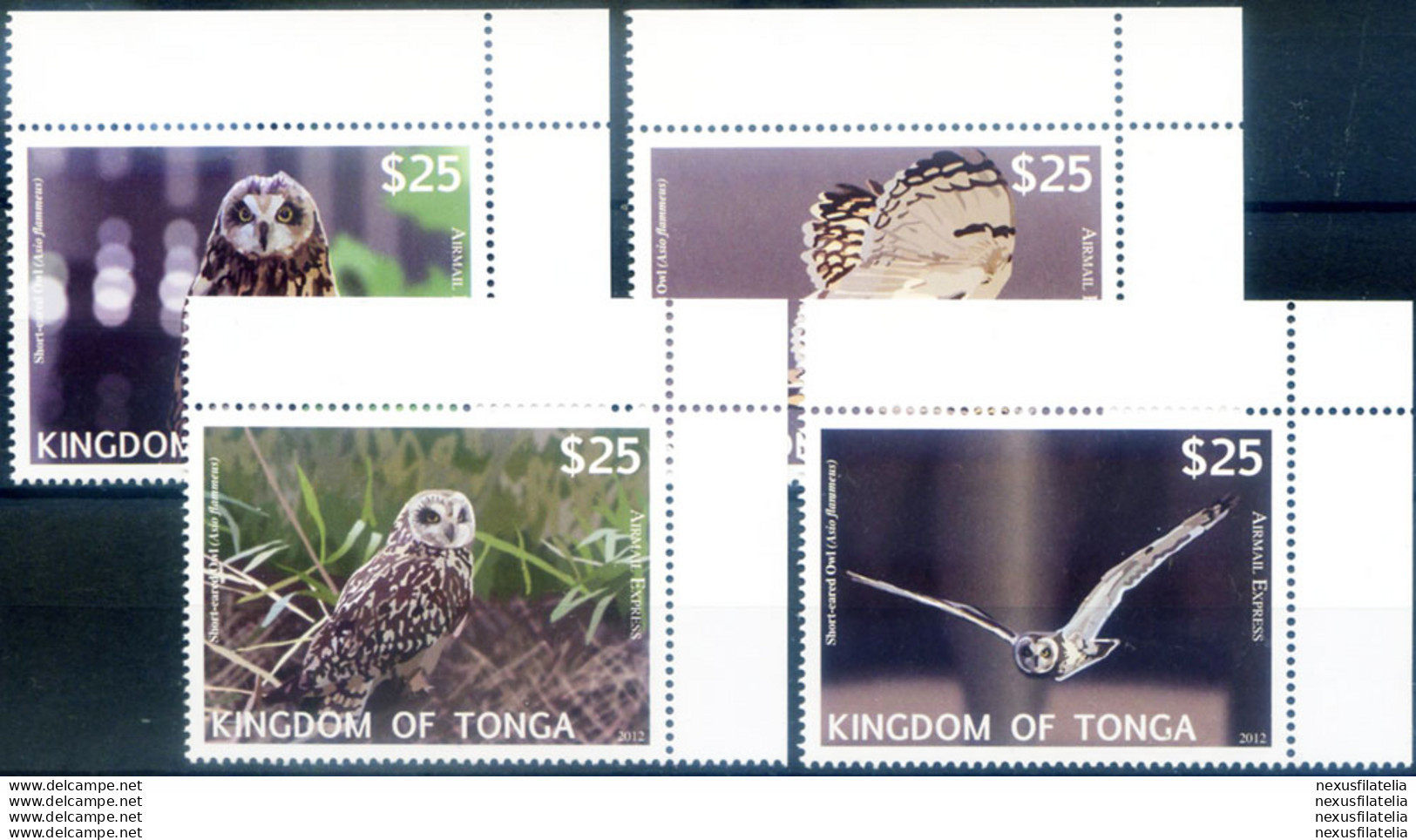 Fauna. Uccelli. Alti Valori 2012 - Tonga (1970-...)