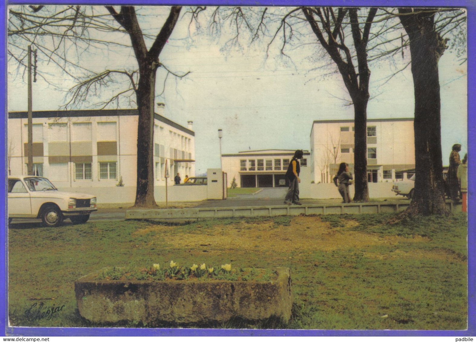 Carte Postale 79. Sauze Vaussais  Le Collège  204 Peugeot Très Beau Plan - Sauze Vaussais