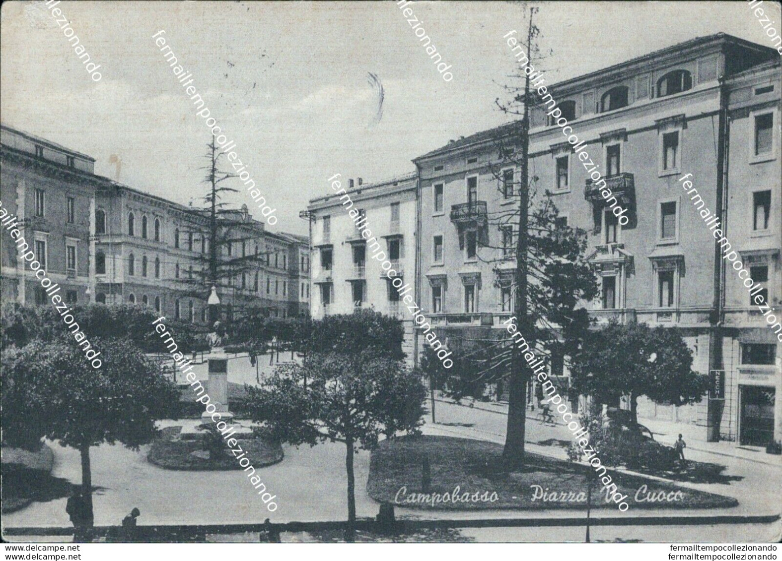 Cl404 Cartolina Campobasso Citta' Piazza V.cuoco - Campobasso